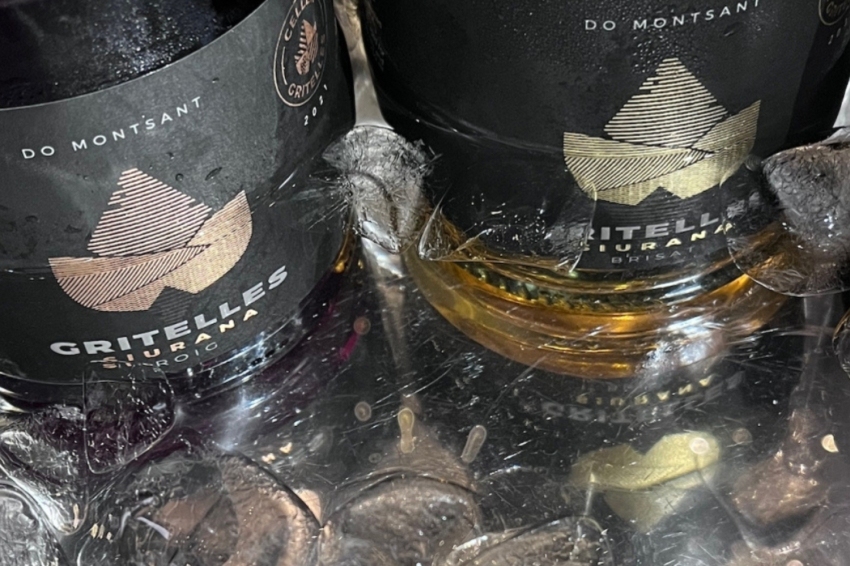 Dégustation de vins blancs et rosés du Montsant Nord au Domaine des Gritelles (0001 Vi Amb Gel)