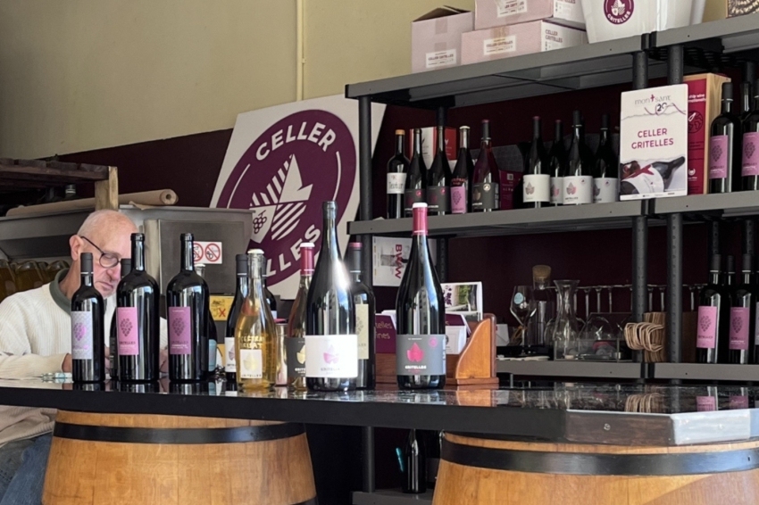 Dégustation de vins blancs et rosés du Montsant Nord au Domaine des Gritelles (06 Diseno Sin Titulo 2024 07 09t125920.505__)