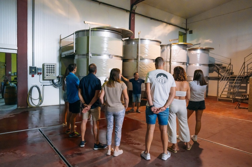 Visite et dégustation de vins à Vinya els Vilars (1)