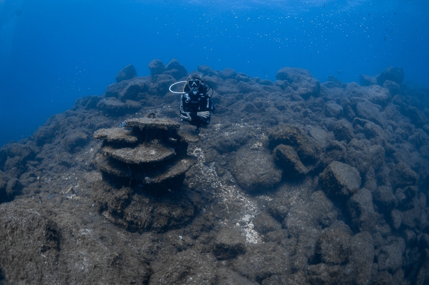 Voyages de plongée avec Odysea Diving Center (Biotop1)