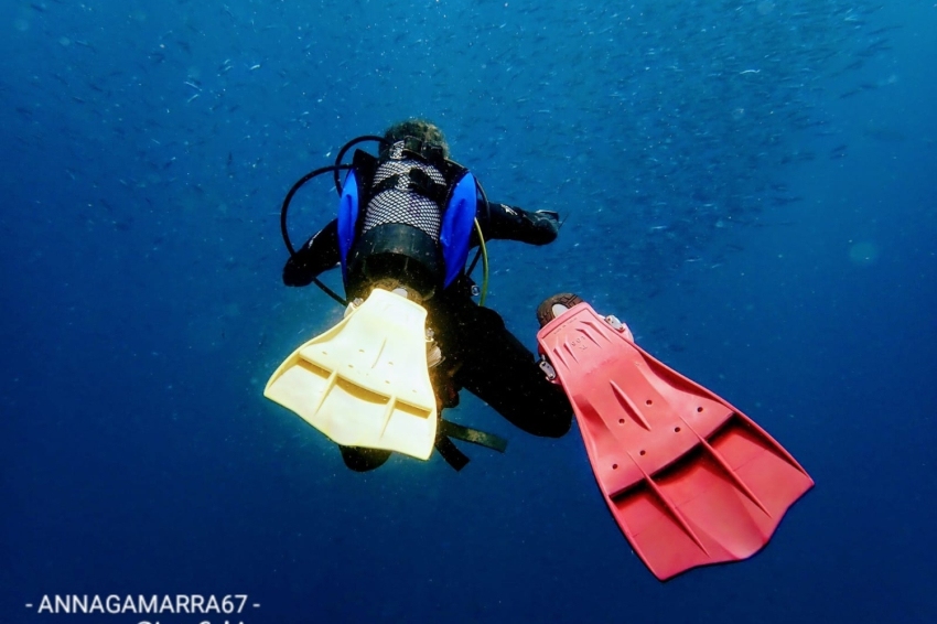 Baptême de plongée (pour débutants) avec Odysea Diving Center (Img 20190929 Wa0012)