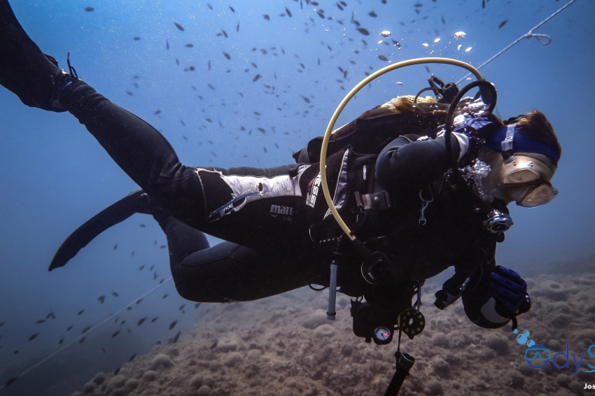 Baptême de plongée (pour débutants) avec Odysea Diving Center (21 28903168_unknown)