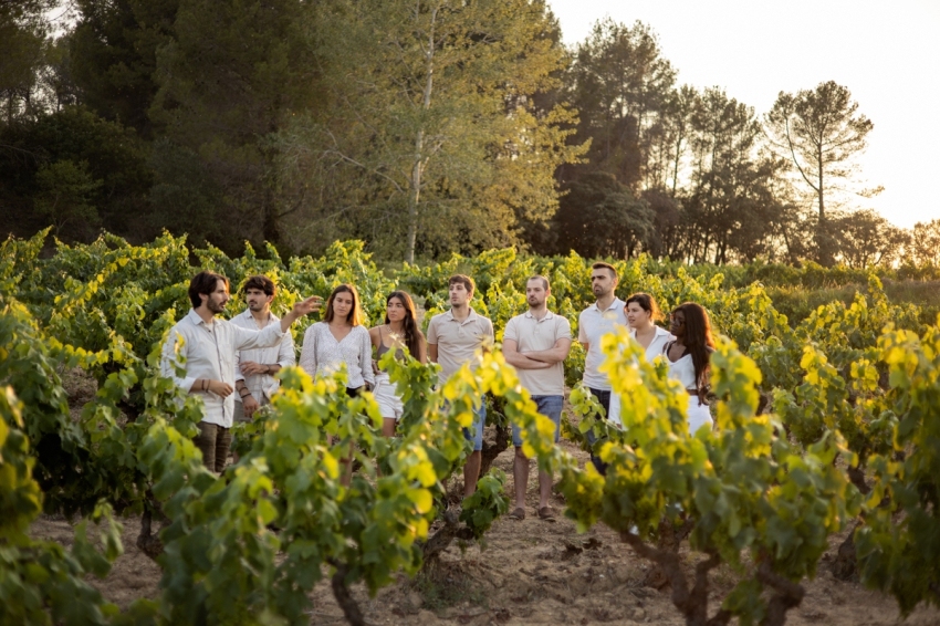 Temps de récolte dans un vignoble de Paraje avec Vins El Cep (02 Vinya Grup)
