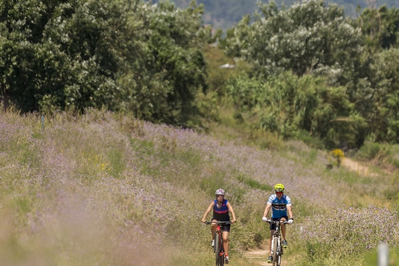 Hiking and Cycling in Baix Llobregat (_orp2407 Copia)