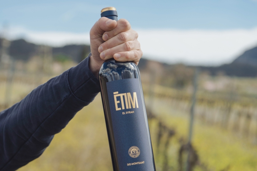 Visita a los viñedos con cata Premium en la Cooperativa Falset Marçà (Etim29)
