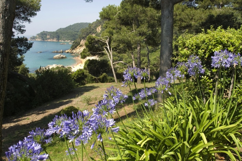 Guided Walk along the Camino de Ronda with Yoga Class and Visit to the Gardens (Jardins Santa Clotilde 13)