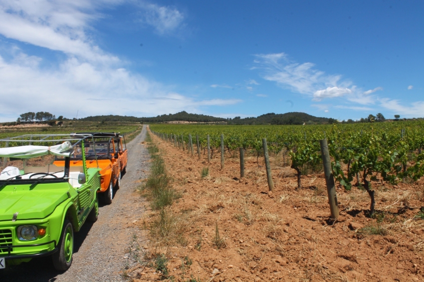 Visitez les vins Cep & Méharis (Cityzoom 05 Nomadic)