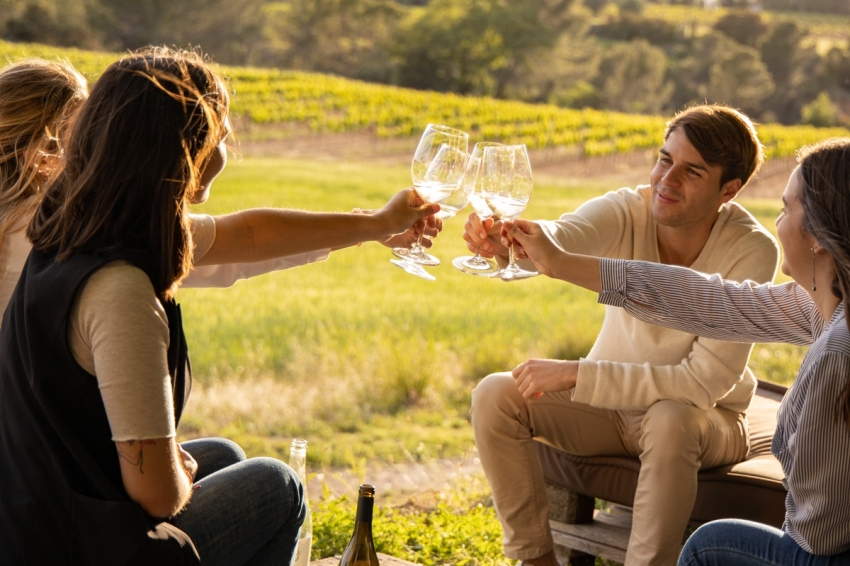 Espace de dégustation des vins El Cep (3. Espai Tast_)