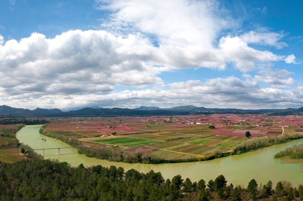 Floració a la Ribera d'Ebre amb Tarvitur Visites Guiades (Ribera D Ebre Floracio_ 1)