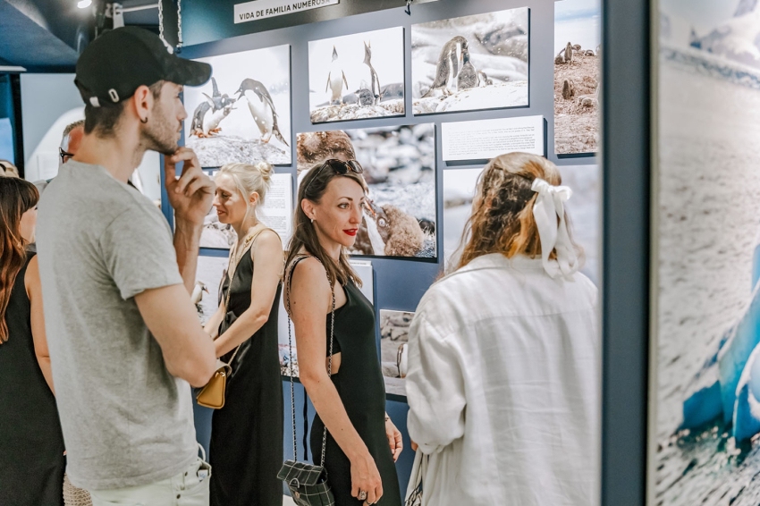 Exposition immersive sur l'Antarctique à la CG Gallery Lloret (709a5287)