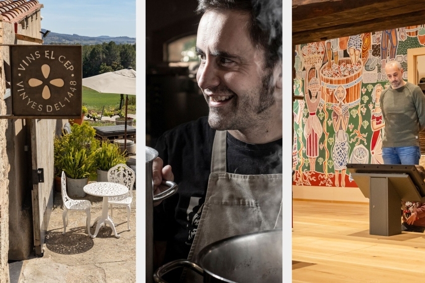 El Penedès en tres temps a Vins el Cep (Proposta Femturisme 3595)