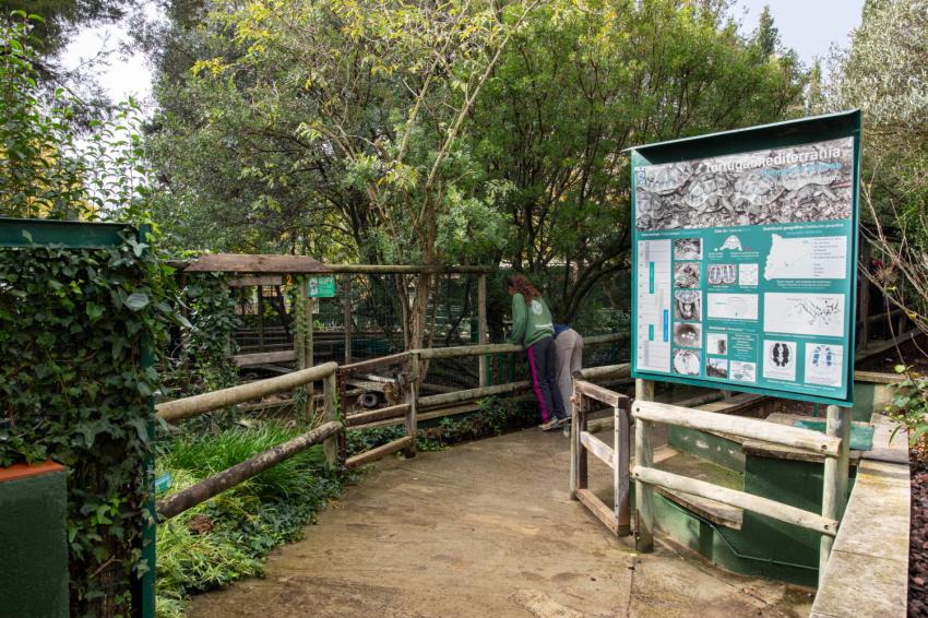 Visit the CRARC, Masquefa (1v7a7485)