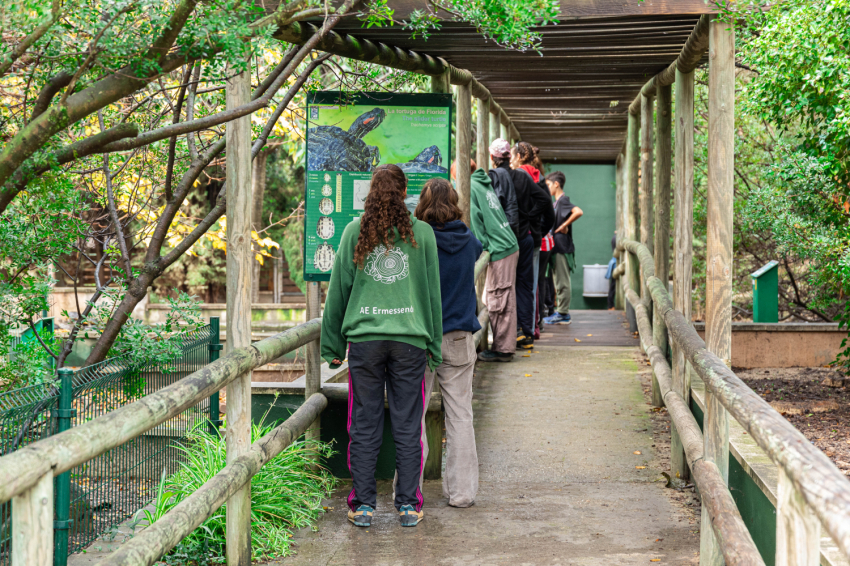 Visit the CRARC, Masquefa (1v7a7489)