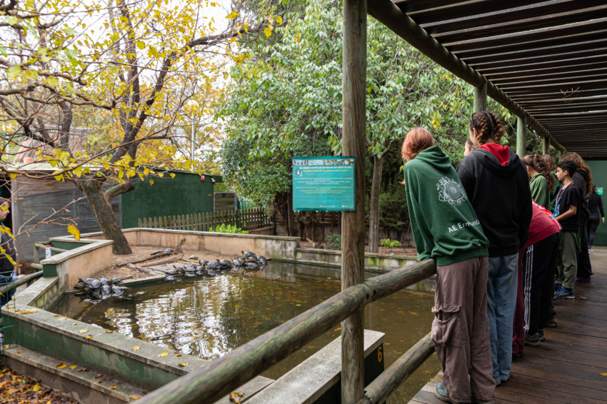 Visit the CRARC, Masquefa (1v7a7504)