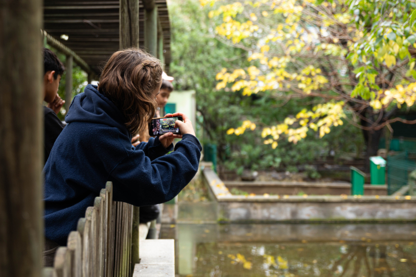 Visit the CRARC, Masquefa (1v7a7525)