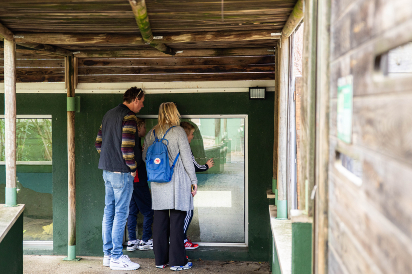 Visit the CRARC, Masquefa (1v7a7629)