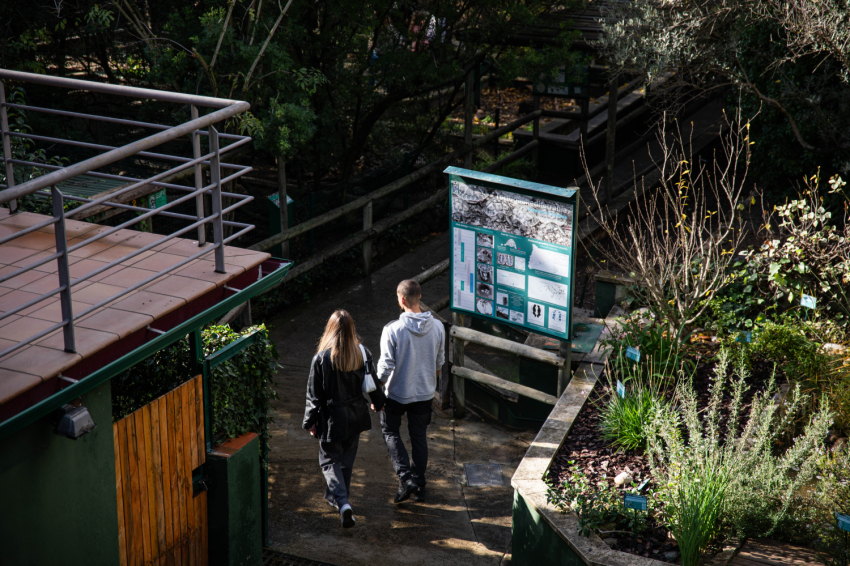 Visit the CRARC, Masquefa (1v7a7727)