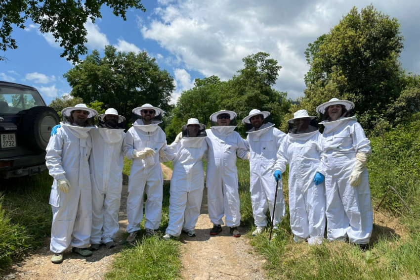 Be a beekeeper for a day! - Mel La Caseta (4 04ff8273)