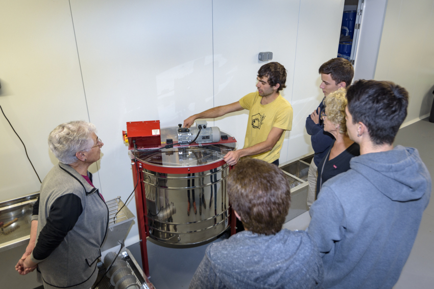 Be a beekeeper for a day! - Mel La Caseta (_dsc2359_jpg_alta)