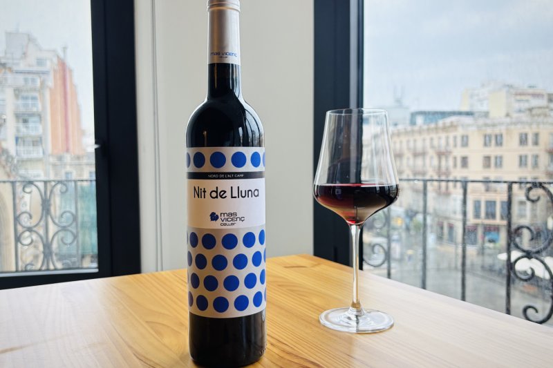 Wine tourism in Tarragona: Mas Vicenç Winery, TGNA Reding 22 Apartments (Celler Mas Vicenc Tast Vins Experiencia Enoturisme Tarragona Apartaments Tgna Reding 22)