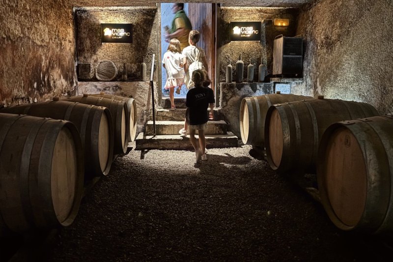 Wine tourism in Tarragona: Mas Vicenç Winery, TGNA Reding 22 Apartments (Celler Mas Vicenc Tast Vins Experiencia Enoturisme Tarragona Apartaments Tgna)