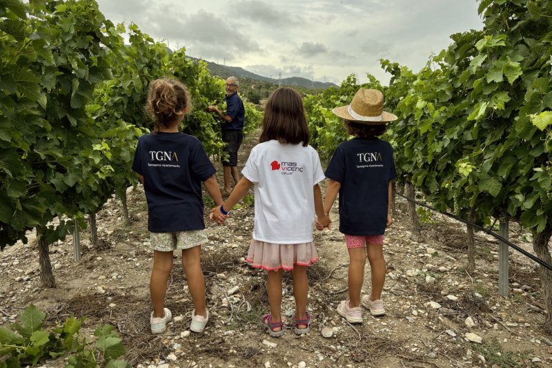Wine tourism in Tarragona: Mas Vicenç Winery, TGNA Reding 22 Apartments (Celler Mas Vicenc Tast Vins Walk Wine Degustacio Experiencia Enoturisme Tarragona Apartaments Tgna)