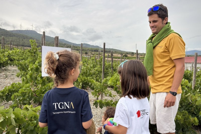 Wine tourism in Tarragona: Mas Vicenç Winery, TGNA Reding 22 Apartments (Celler Mas Vicenc Ferre Walk Wine Experiencia Enoturisme Tarragona Apartaments Tgna Tarragona Apartaments)
