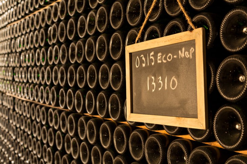 BREATHE! Dynamic Hatha Yoga & Wine at the Vins Winery in Cep (9 Hatha)