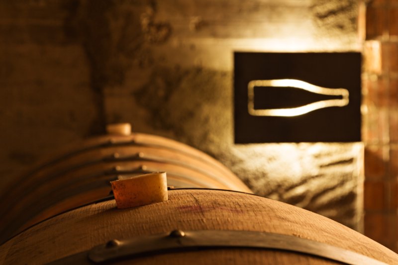 BREATHE! Dynamic Hatha Yoga & Wine at the Vins Winery in Cep (10 . Hatha_)