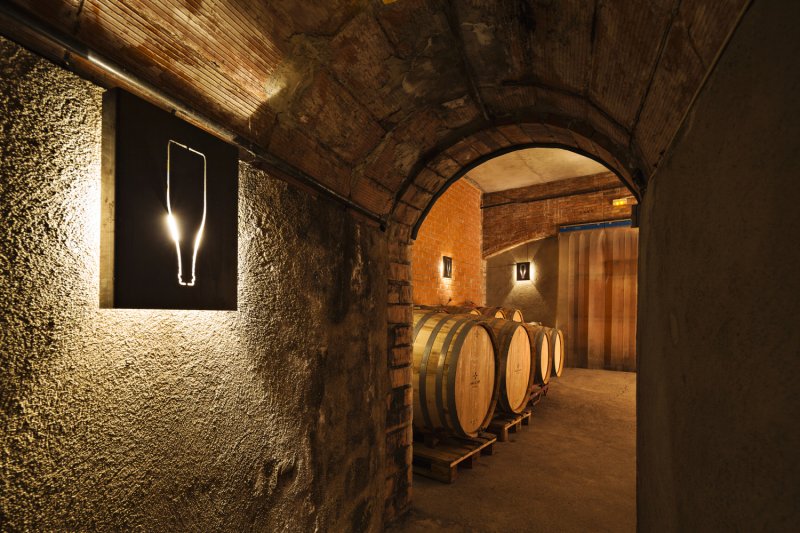 BREATHE! Dynamic Hatha Yoga & Wine at the Vins Winery in Cep (11 Hatha)