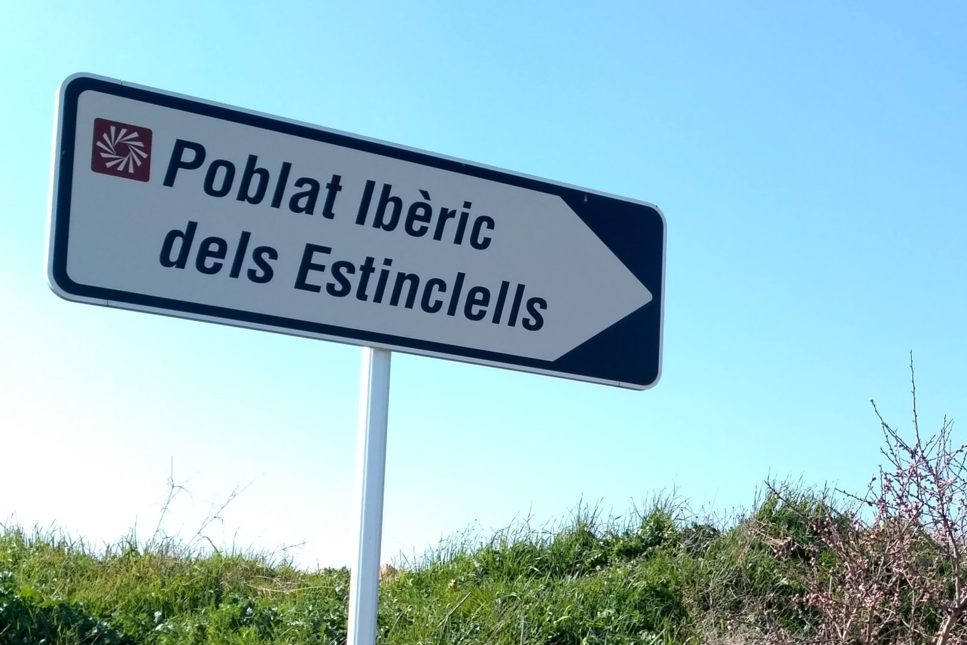 Visit the Iberian settlement of Estinclells in Verdú (Estinclells 220219 11 Copia)