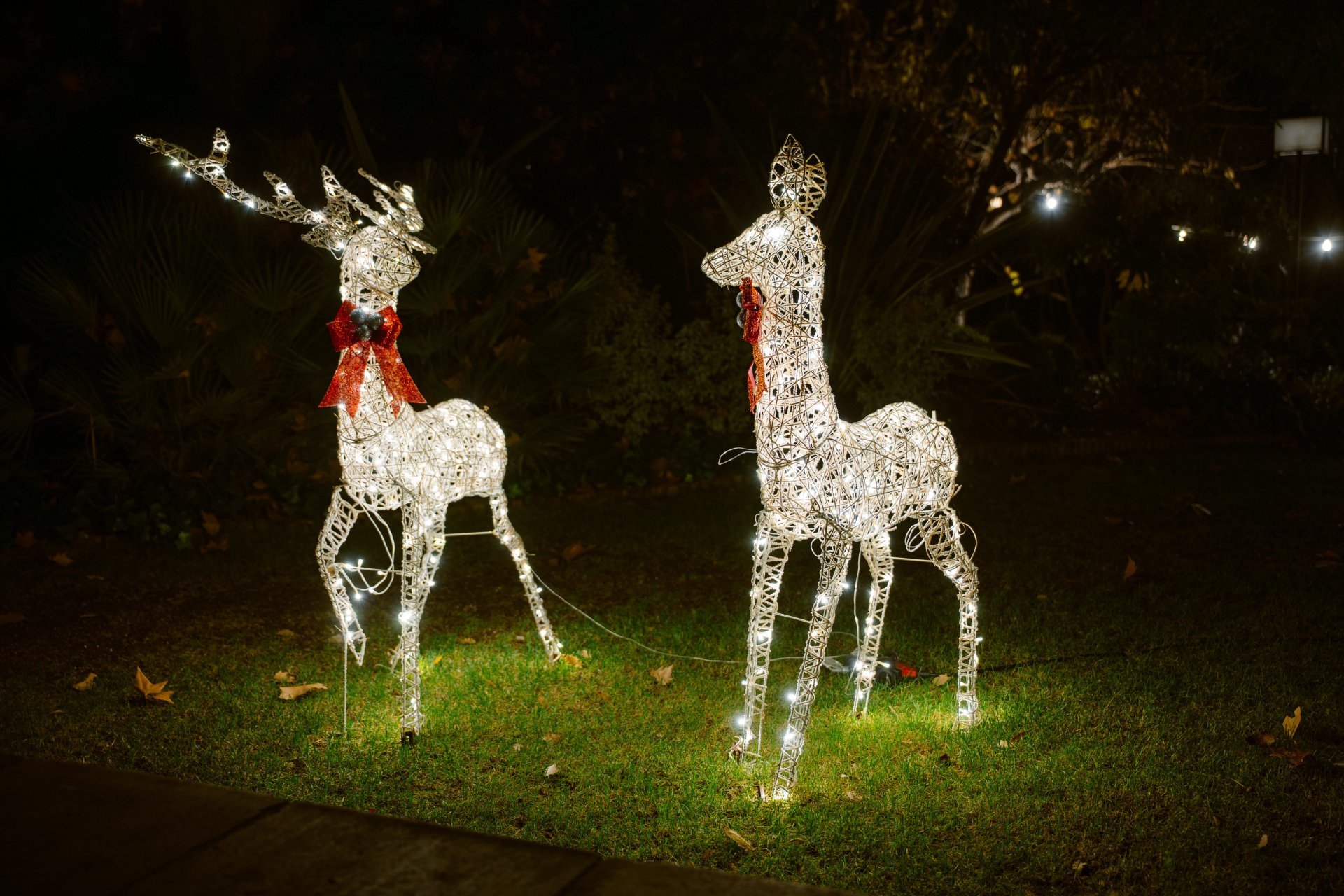 Christmas celebrations at Mas La Boella (Navidad_maslaboella6)