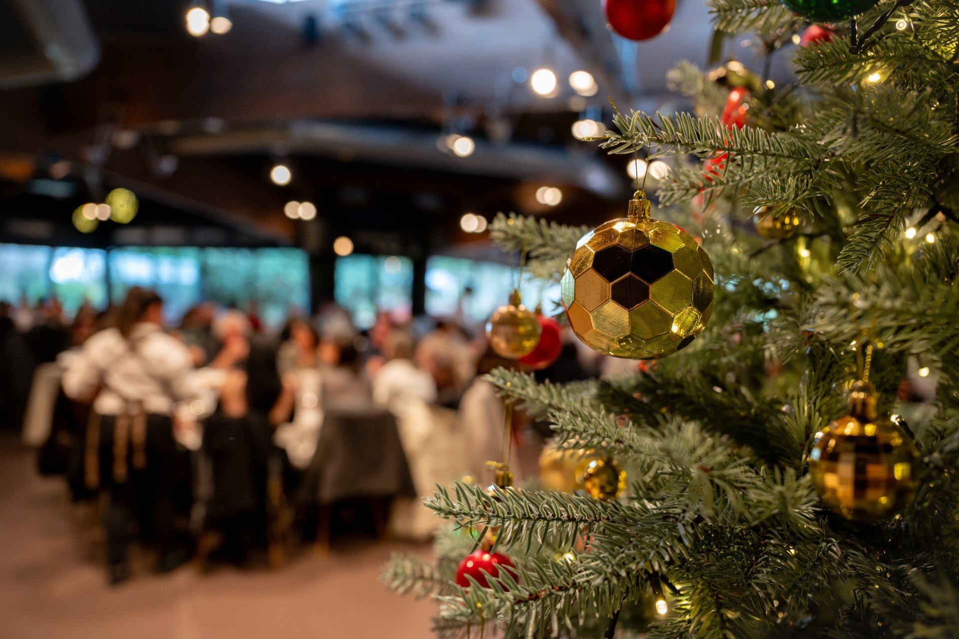 Accommodation and New Years Eve gala dinner - Mas La Boella (_ld24370)