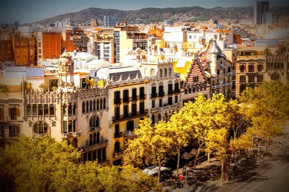 Tour a peu pel Centre de Barcelona - Forever Barcelona (25 Copia.png_)