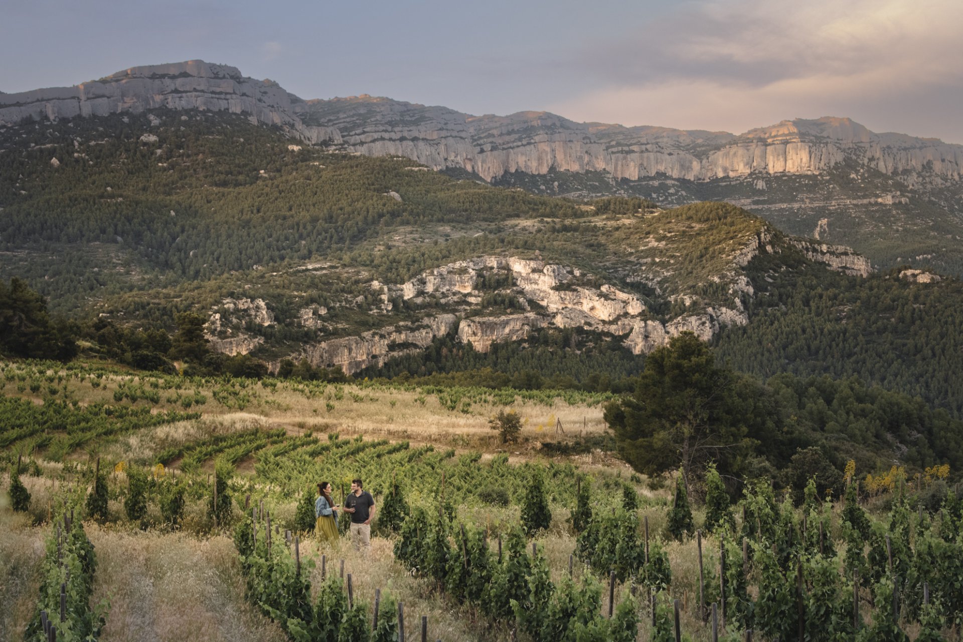 Visit and Tasting among Vineyards - Cellers Scala Dei (_dsc1003)