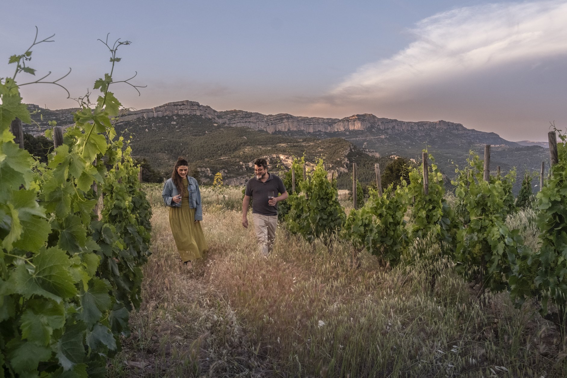 Visit and Tasting among Vineyards - Cellers Scala Dei (_dsf0622)
