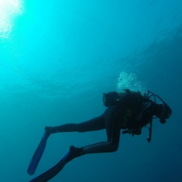 Costa Brava Sub présente l&#39;itinéraire des plongées éco-guidées&#8230;