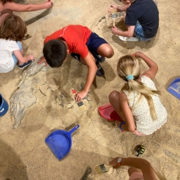 Summer family workshops are back at the Aquae Space!