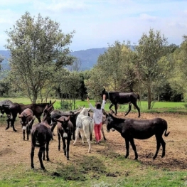 Sessió relax - La Pau dels Rucs amb Rukimon