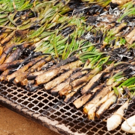 Visite et dégustation de cava avec Calçotada à La Bleda,&#8230;