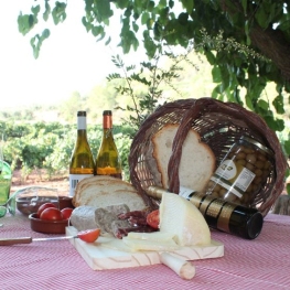 Breakfast among vineyards at El Celler