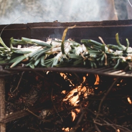 Calçotada i maridatge de vins al Celler Can Roda