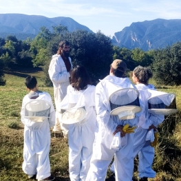 Nature et abeilles au Mont-Rebei