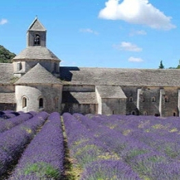 4 Jours - Champs de Lavande, Provence depuis Avignon