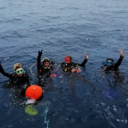 Baptême de plongée (pour débutants) avec Odysea Diving Center