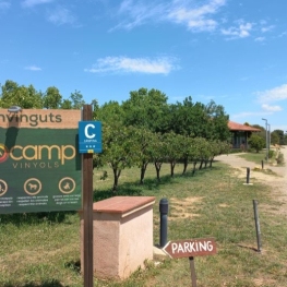 Live a different experience at Ecocamp Vinyols