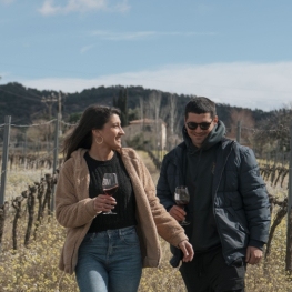 Visit to the vineyards with Premium tasting at the Falset Marçà&#8230;