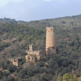 Visite guidée de la Tour Vallferosa, Solsonès