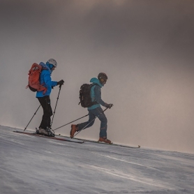 Activitats i experiències al Ripollès