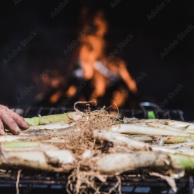 Visite et dégustation de cava avec Calçotada à La Bleda,&#8230;